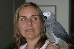  Pippi  Åsvik 1996-
